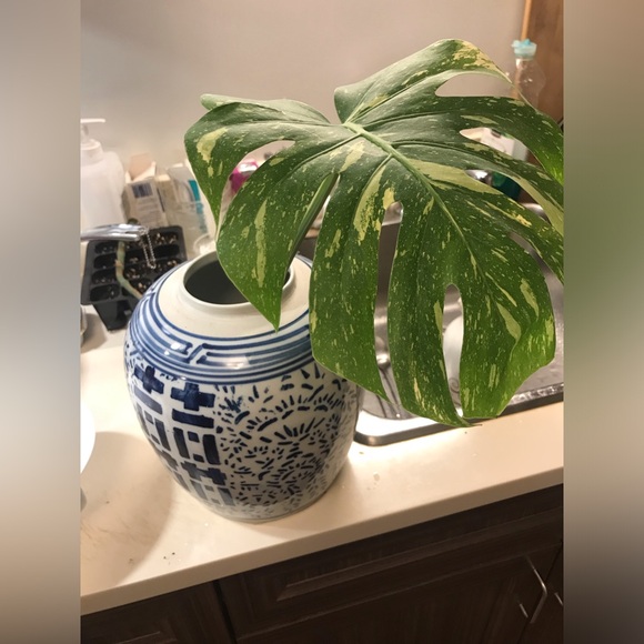 Vase - Picture 1 of 10